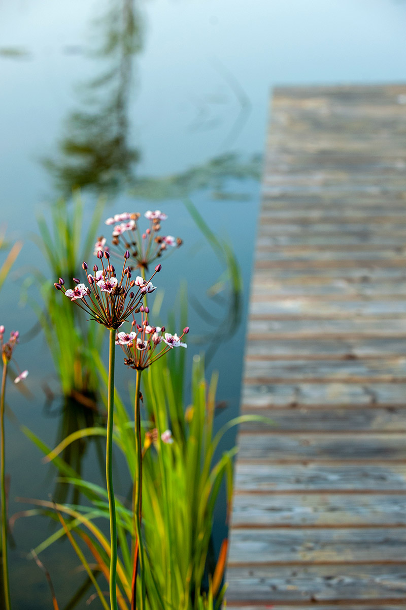 Contact Flint Garden Design Studio