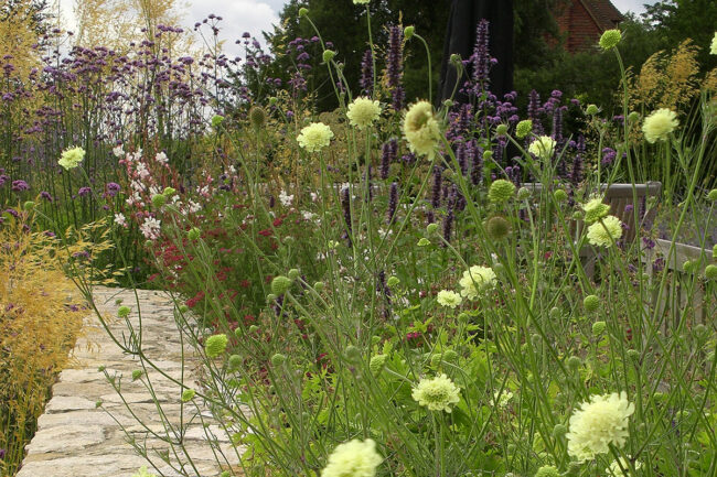 Garden Design project by Flint Garden Studio in the north Downs, Surrey.