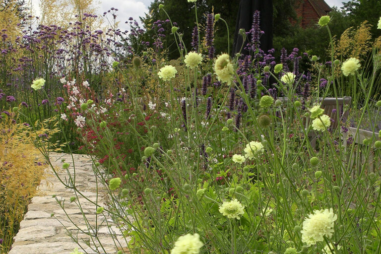 Garden Design project by Flint Garden Studio in the north Downs, Surrey.